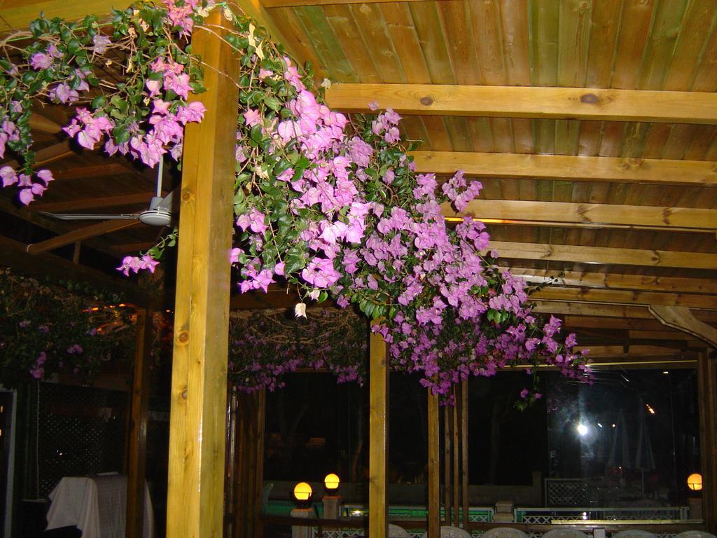 Medusa Hotel Kas Exterior photo